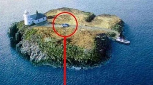 Lazy People (21 pics)