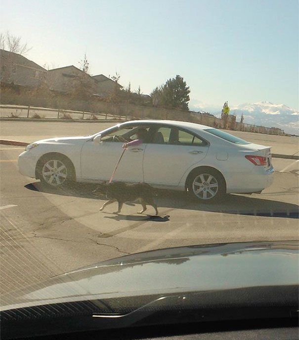 Lazy People (21 pics)