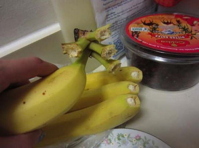 Bad Days Happen (27 pics)