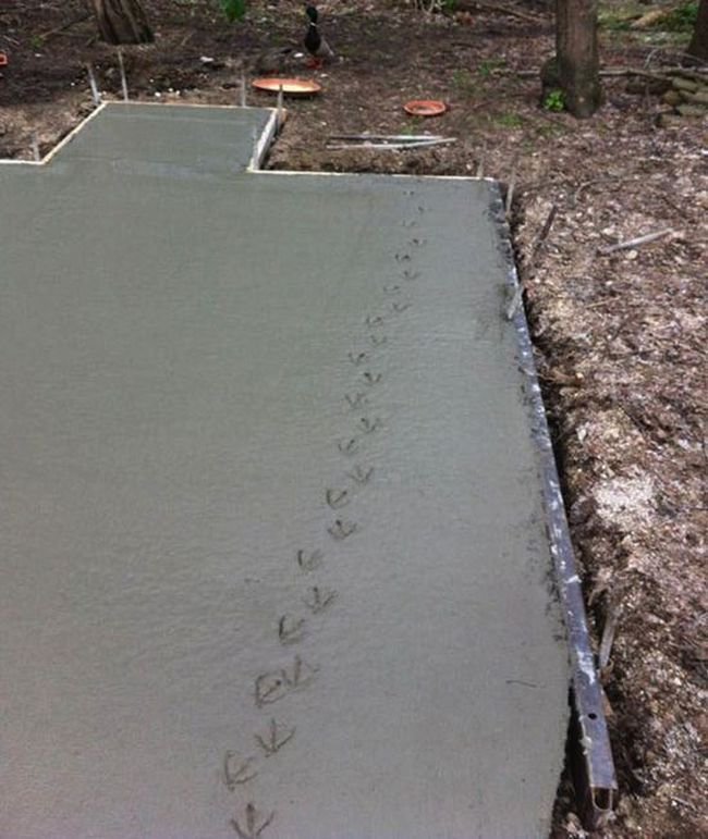 Bad Days Happen (27 pics)