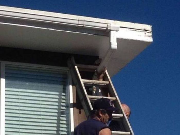 Failed Constructions (33 pics) Failed Constructions (33 pics)