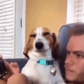 Acid GIFs, April 24 (25 gifs)