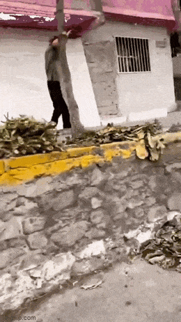 Acid GIFs, April 24 (25 gifs)