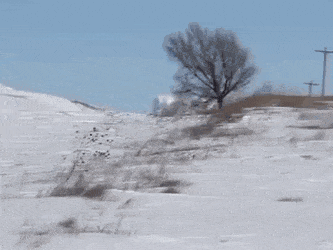 Acid GIFs, April 24 (25 gifs)