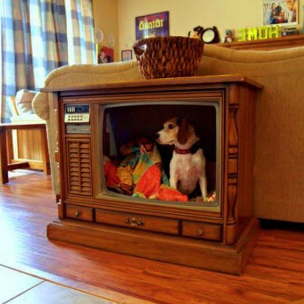 Weird DIY Crafts (25 pics) Weird DIY Crafts (25 pics)