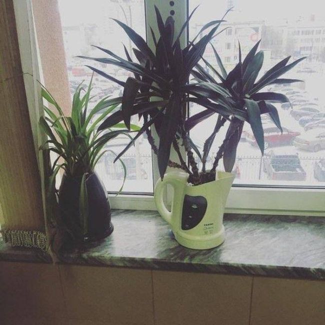 Weird DIY Crafts (25 pics) Weird DIY Crafts (25 pics)