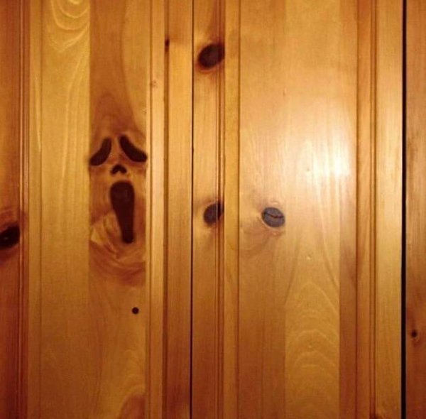 This Is Pareidolia (21 pics)