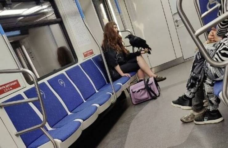 Daily Pictures. Part 1 (75 pics)