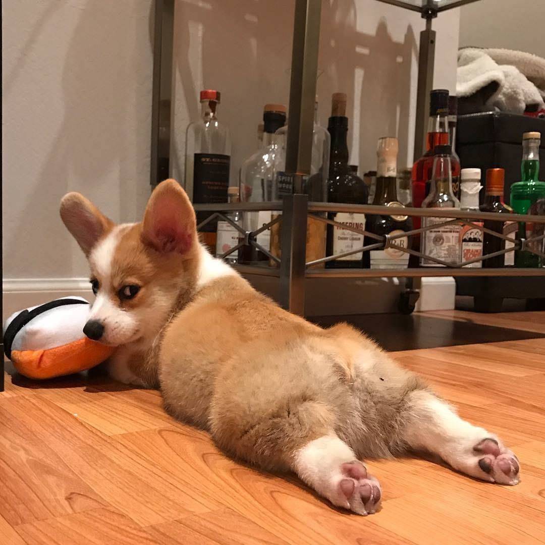 Daily Pictures. Part 2 (74 pics)