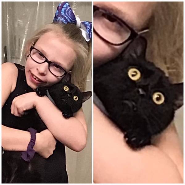 Daily Pictures. Part 2 (74 pics)