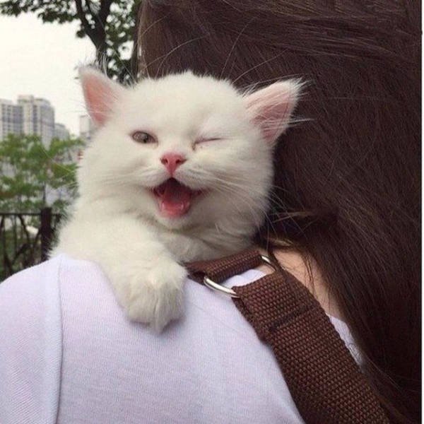 Daily Pictures. Part 2 (74 pics)