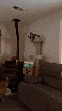 Acid GIFs, April 27 (25 gifs) Acid GIFs, April 27 (25 gifs)