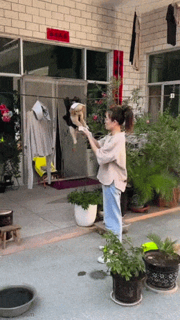 Acid GIFs, April 27 (25 gifs) Acid GIFs, April 27 (25 gifs)
