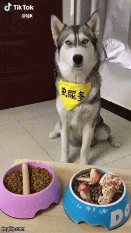 Acid GIFs, April 27 (25 gifs) Acid GIFs, April 27 (25 gifs)
