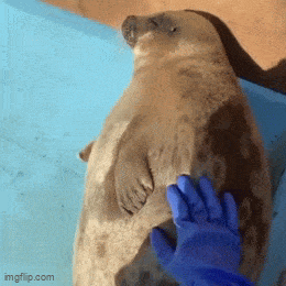 Acid GIFs, April 27 (25 gifs) Acid GIFs, April 27 (25 gifs)