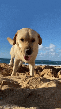 Acid GIFs, April 27 (25 gifs) Acid GIFs, April 27 (25 gifs)