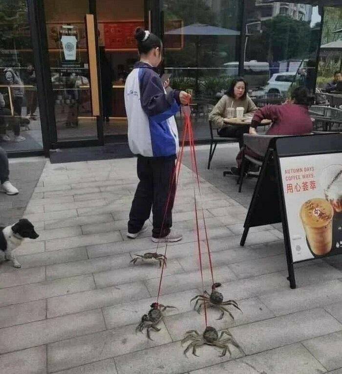 Daily Pictures. Part 1 (69 pics)