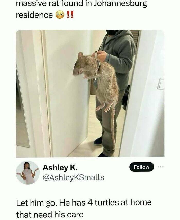 Daily Pictures. Part 2 (68 pics)
