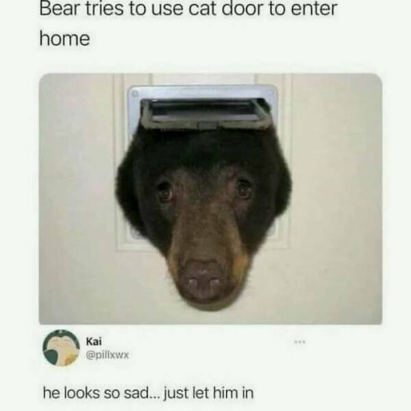 Daily Pictures. Part 2 (68 pics)