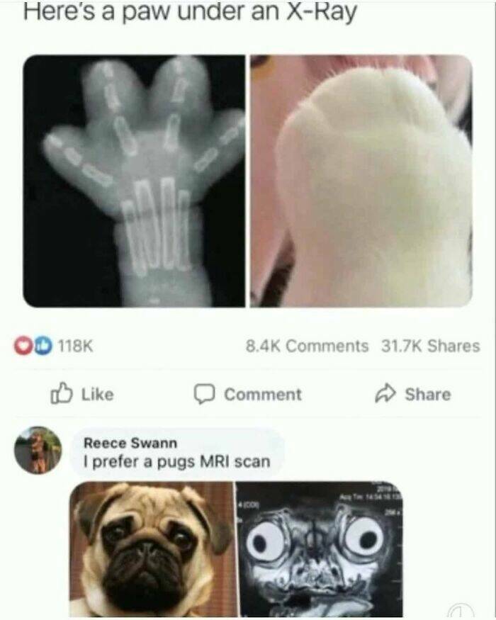 Daily Pictures. Part 2 (68 pics)