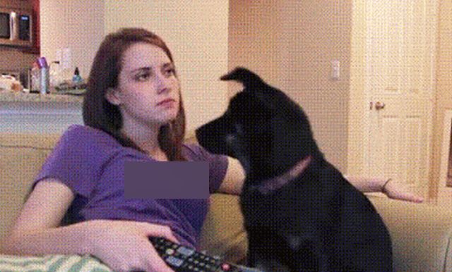 Acid GIFs, April 28 (25 gifs)