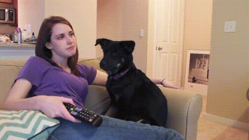 Acid GIFs, April 28 (25 gifs)