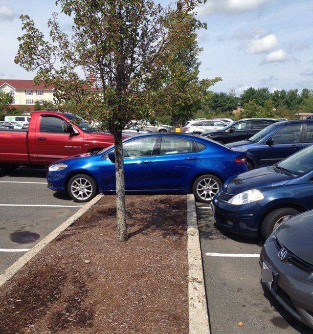 They Don't Know How To Park (18 pics)