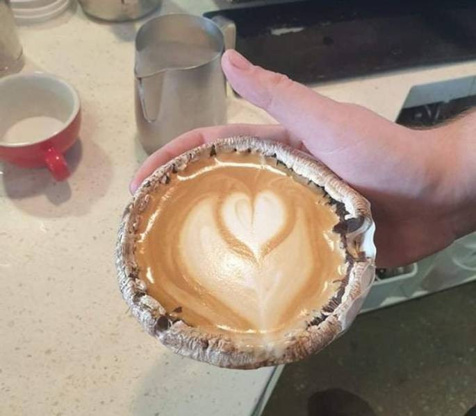 Odd Drinks (17 pics) Odd Drinks (17 pics)