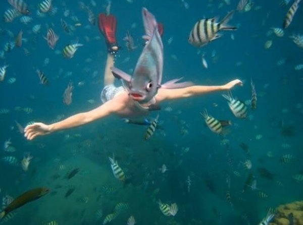 Funny Photobombs (14 pics)