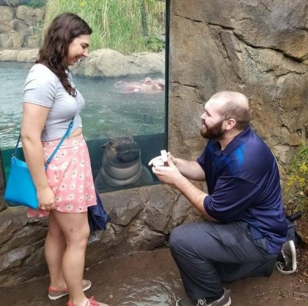 Funny Photobombs (14 pics)