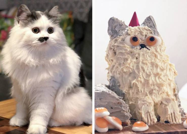 Failed Cakes (18 pics)