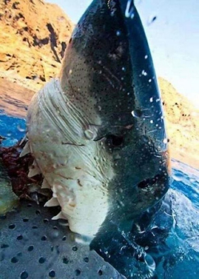 Bad Days Happen (23 pics)