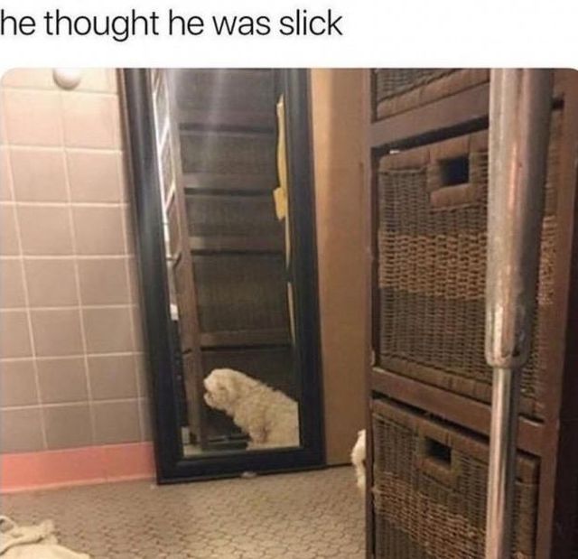 Daily Pictures. Part 2 (70 pics)
