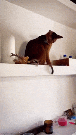 Acid GIFs, April 29 (25 gifs)