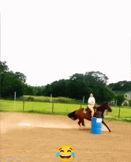 Acid GIFs, April 29 (25 gifs)