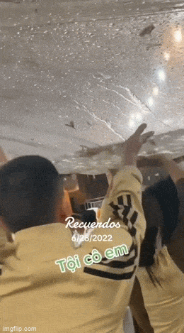 Acid GIFs, April 29 (25 gifs)