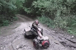 Acid GIFs, April 29 (25 gifs)