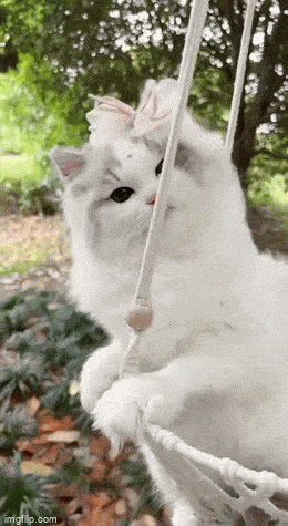 Acid GIFs, April 29 (25 gifs)