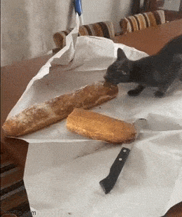 Acid GIFs, April 29 (25 gifs)