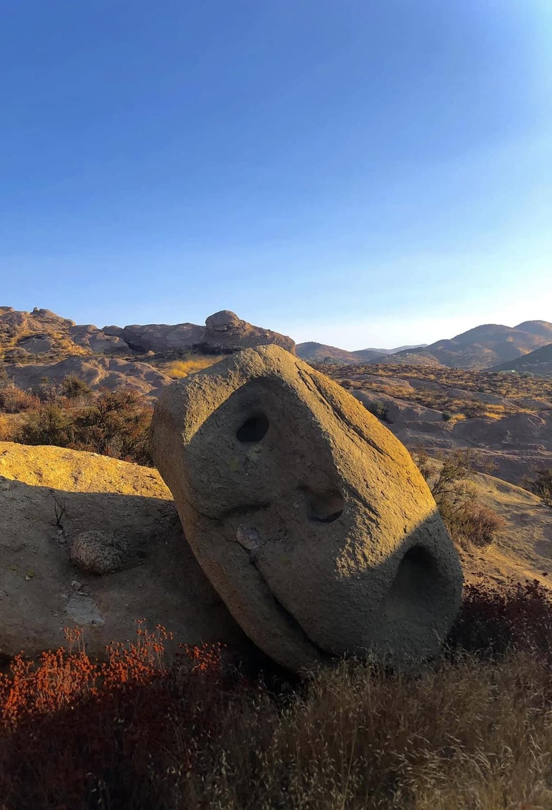 This Is Pareidolia (25 pics) This Is Pareidolia (25 pics)
