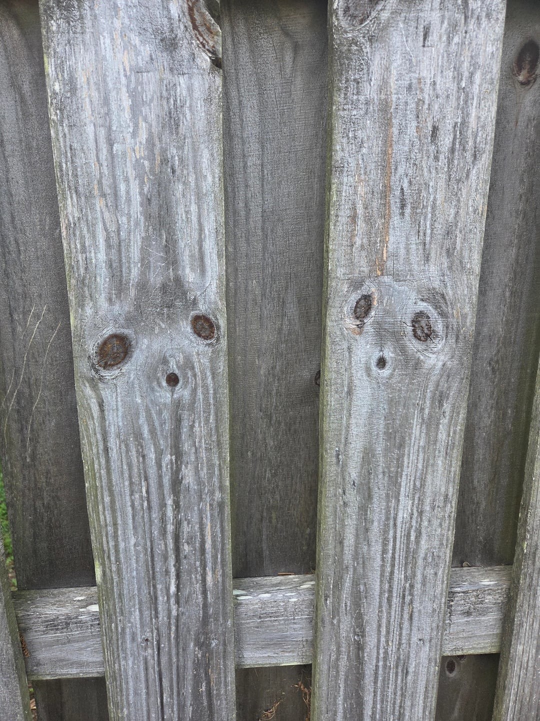 This Is Pareidolia (25 pics) This Is Pareidolia (25 pics)
