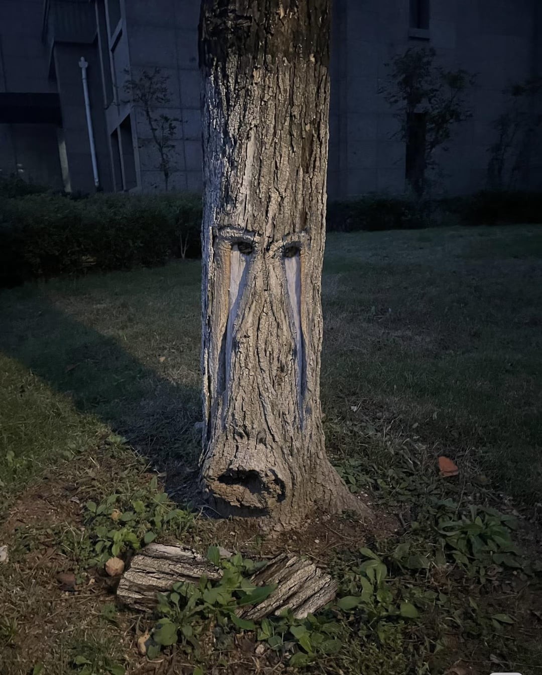 This Is Pareidolia (25 pics) This Is Pareidolia (25 pics)