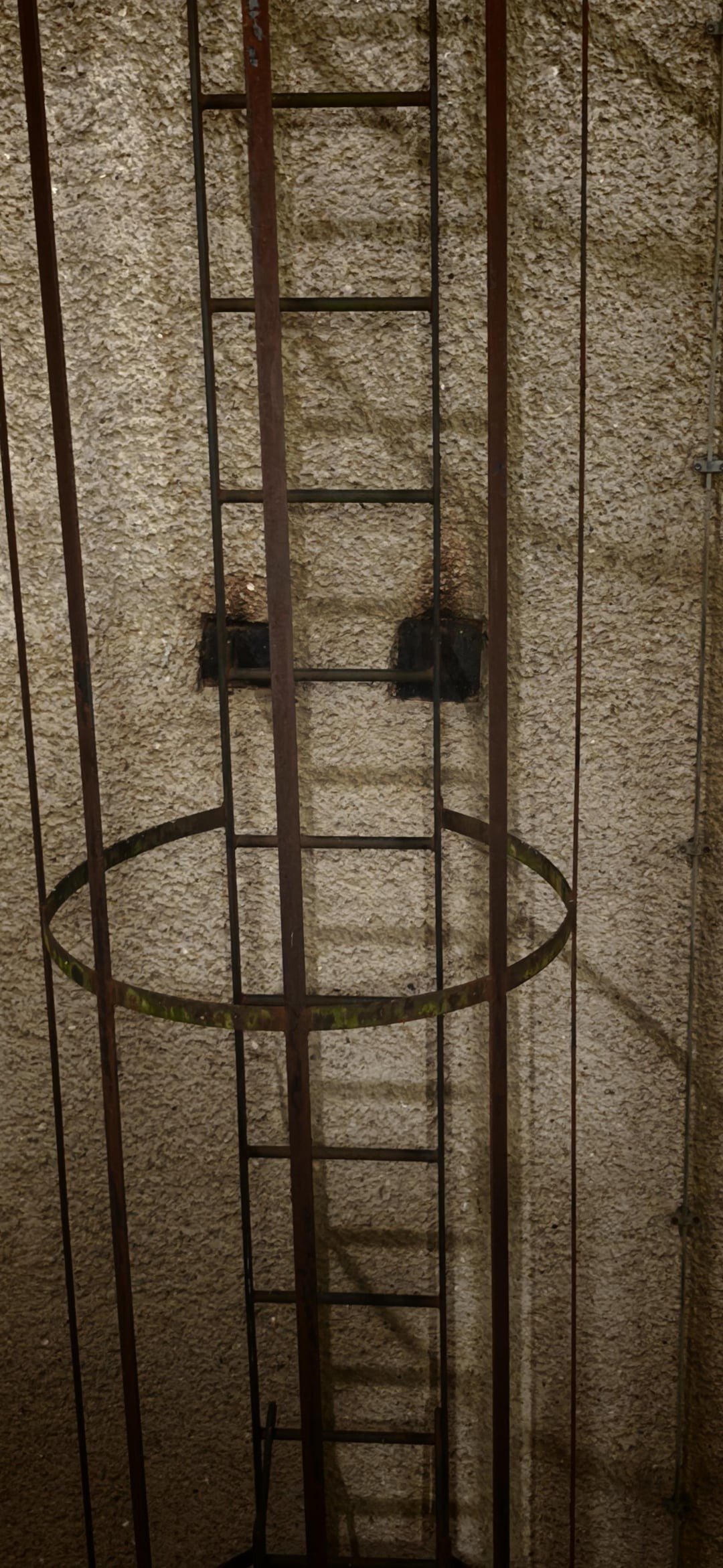 This Is Pareidolia (25 pics) This Is Pareidolia (25 pics)