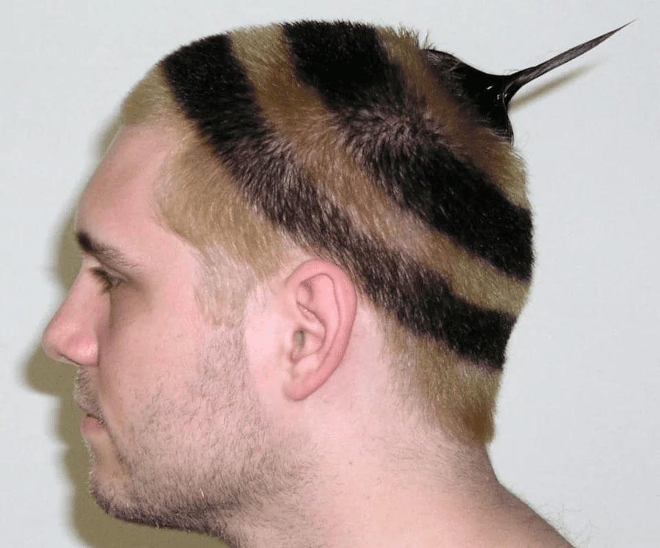Crazy Haircuts (16 pics)
