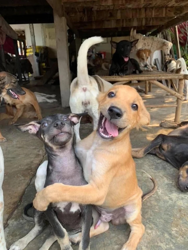 Funny Photobombs (15 pics) Funny Photobombs (15 pics)