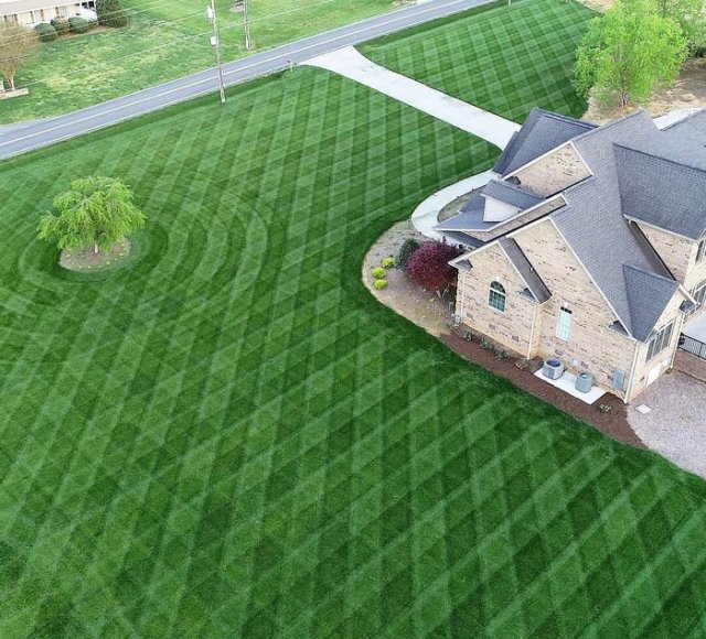 Photos For Perfectionists (19 pics)
