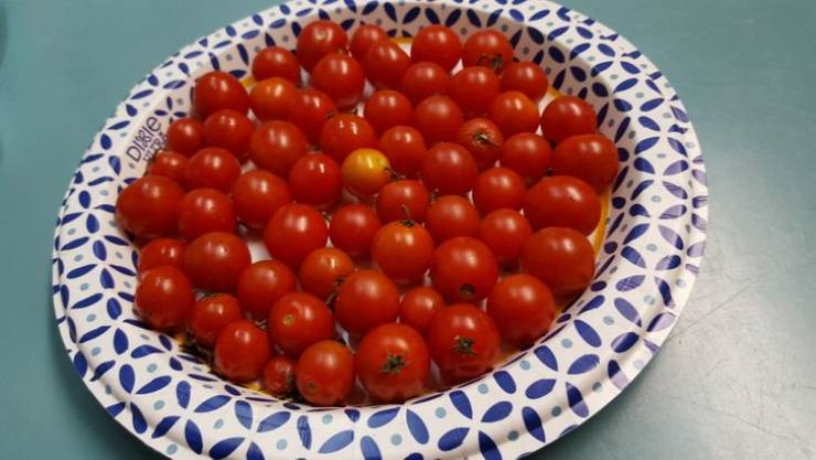 Photos For Perfectionists (19 pics) Photos For Perfectionists (19 pics)