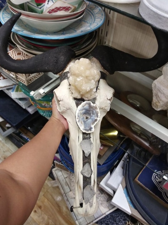 Strange Finds In Thrift Shops (24 pics)