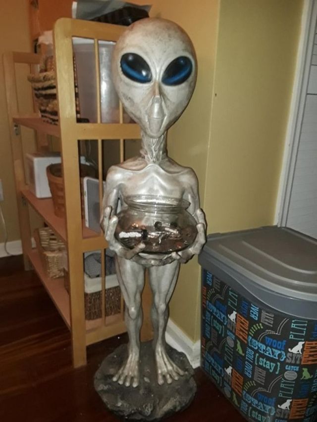 Strange Finds In Thrift Shops (24 pics)