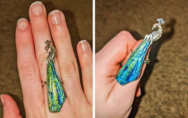 Strange Finds In Thrift Shops (24 pics)